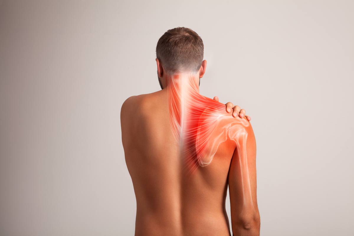 6 dicas para aliviar a dor nos ombros e no pescoço! Confira!